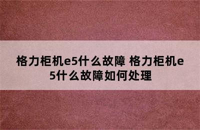 格力柜机e5什么故障 格力柜机e5什么故障如何处理